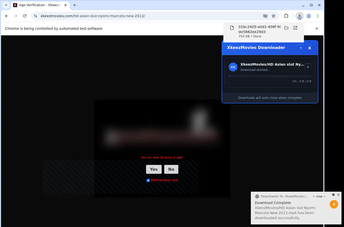 Xkeezmovies Video Downloader browser extension screenshot 2