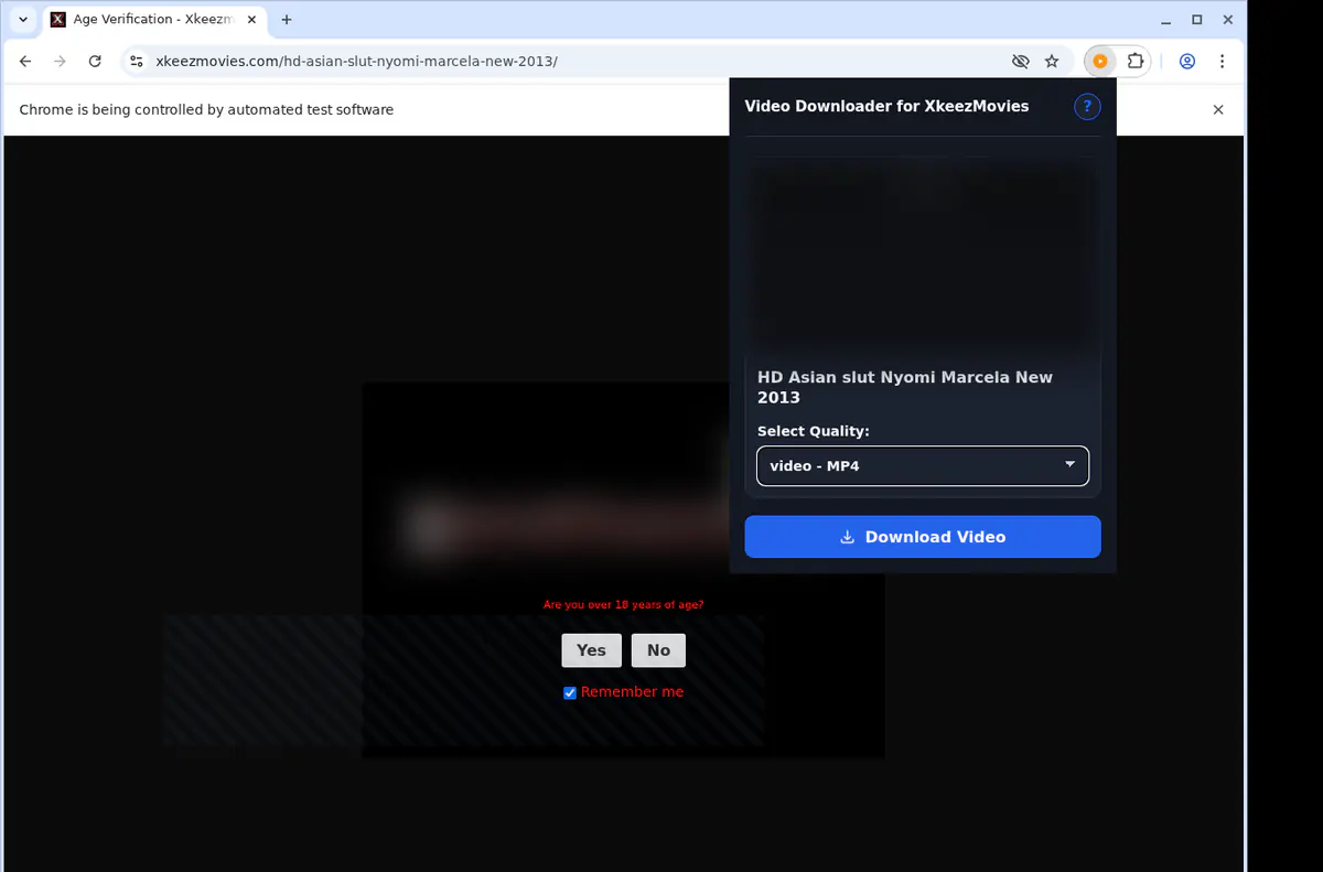 Xkeezmovies Video Downloader browser extension screenshot 3