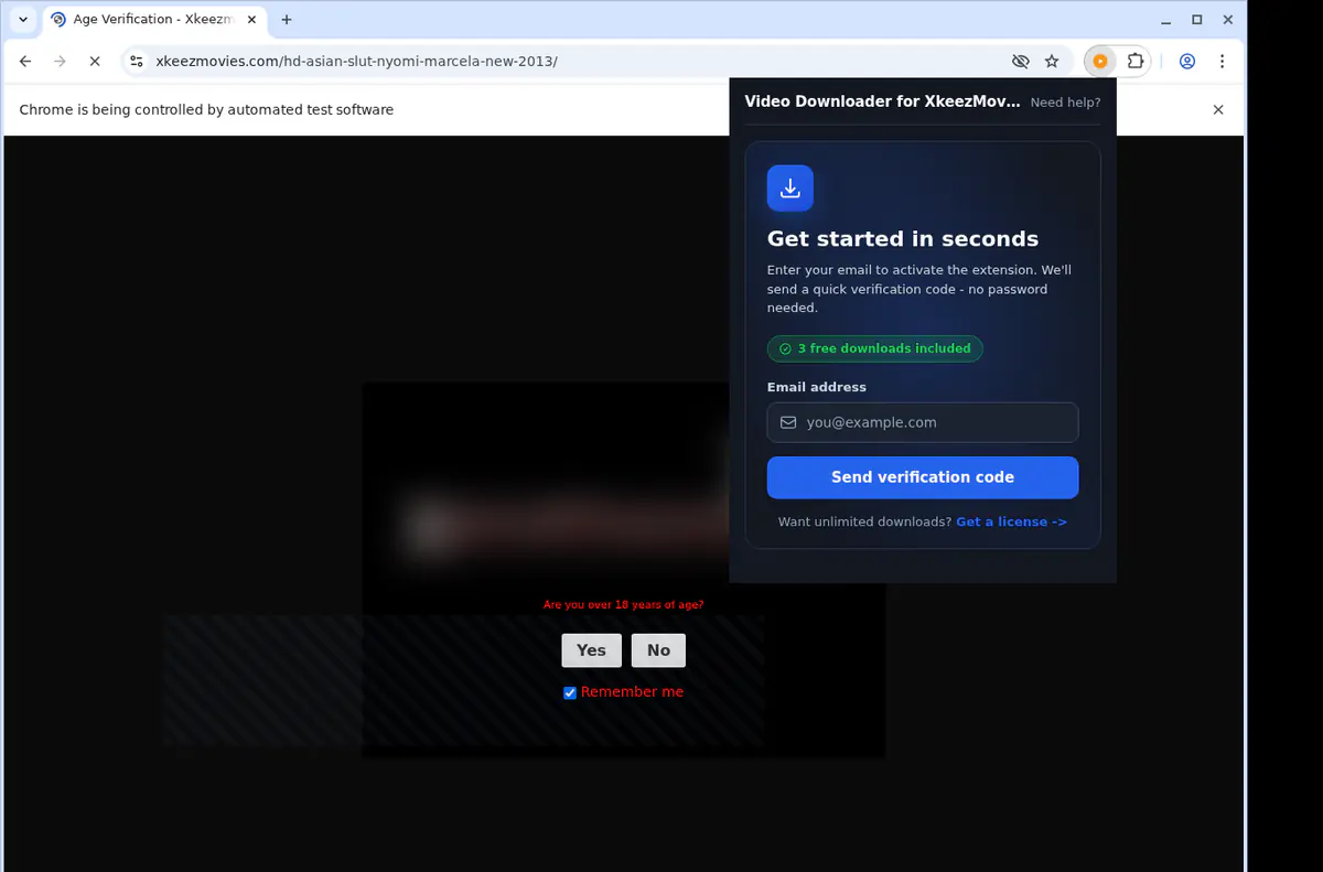 Xkeezmovies Video Downloader browser extension screenshot 5